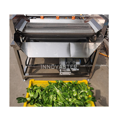 Fácil de operar Lavadora automática de verduras Lavadora de frutas Máquina de limpieza de burbujas de maní