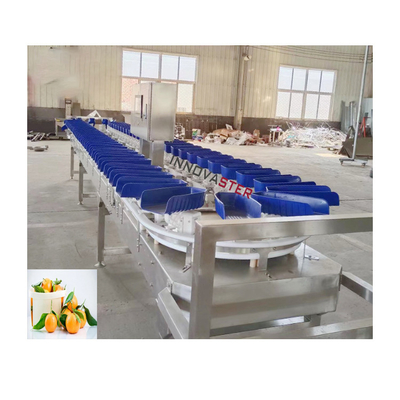 6000x1250x1750mm Alta precisión de la máquina de clasificación de pesos de mariscos congelados naranja