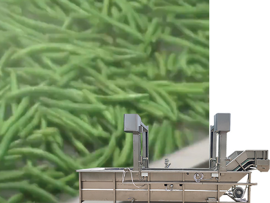 Reciclaje de agua SUS 304 Pantalla de elevación del tanque Lavadora de verduras y frutas para el diseño