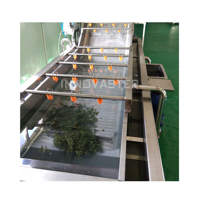 Línea de lavado por burbujas de frutas y verduras industriales con lavadora de agua de ozono