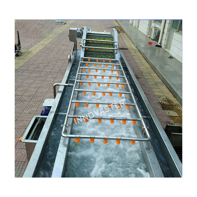 Seca tipo burbuja cepillado tomates vegetales de hoja de raíz máquina de lavado y secado 512 KG