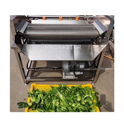 Lavadora de jengibre de vegetales peladora de papas limpiadora máquina de pelar para tiendas de bebidas