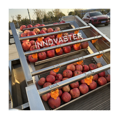 SUS 304 Máquinas para el procesamiento de frutas y hortalizas Lavado de manzanas Secado de cera Máquina de clasificación para bebidas