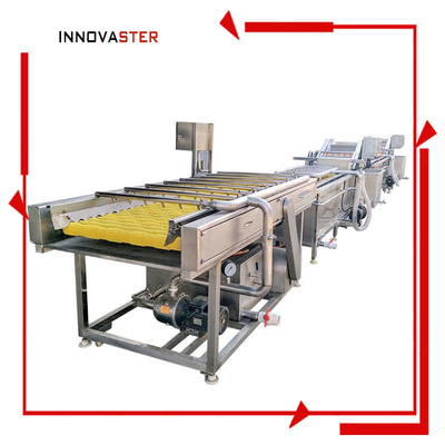 Máquina de limpieza de patatas industriales para limpiar frutas y verduras