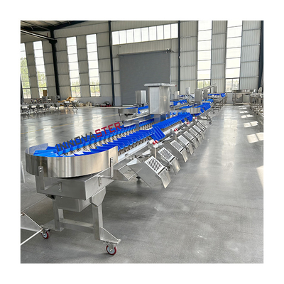 220V/380V clasificador automático de pescado, ostras, mangos vegetales y aguacates para el mercado