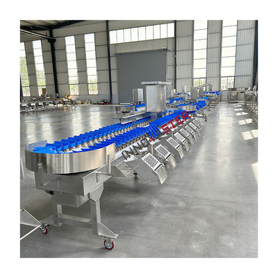 220V/380V Máquina automática para clasificar el peso de las patas de pollo de pepino de mar para el mercado alimentario