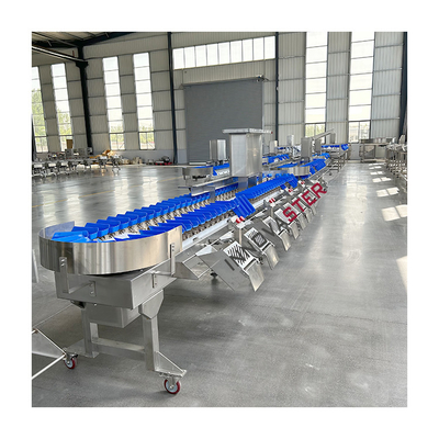 Equipo de la industria alimentaria Máquina automática de clasificación de peso de 2500W para patas de patas de pollo