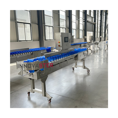 Equipo de la industria alimentaria automático de camarones mariscos pescado comprobar el peso clasificador clasificador máquina