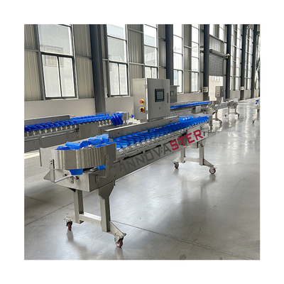 Máquina de clasificación de hortalizas y frutas de última generación con tamaño 6000x1250x1750mm