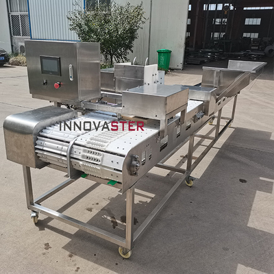 Máquina de espigas de carne para ensamblar y procesar 2000*730*1630mm Pollo Satay Kebab