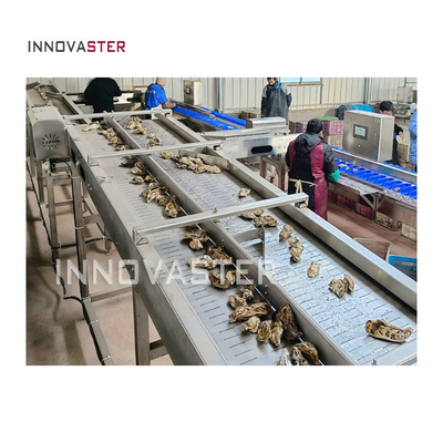 304 de acero inoxidable Máquina automática de clasificación de pesas de vieiras, cangrejos, ostras y camarones