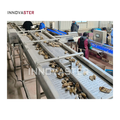 Máquina de clasificación de peso industrial para la clasificación de frutas, verduras, mariscos y ostras