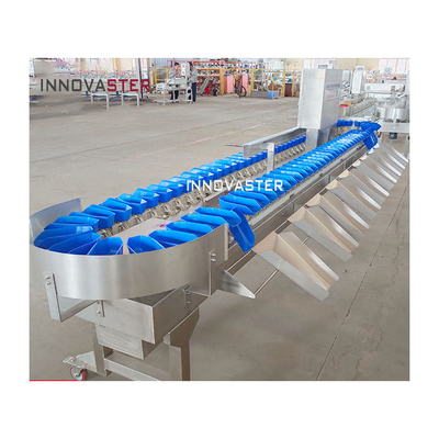 Máquina avanzada de clasificación automática de peso de pie de pollo de frutas y verduras
