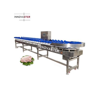 Máquina automática de clasificación de peso de tomate, ajo y cebolla de acero inoxidable para bebidas alimentarias