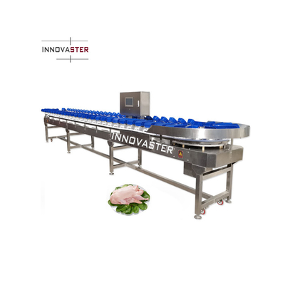 Voltado 220V/380V Cinturón transportador Pollo Pescado Ostra Limón Patata Dulce Máquina de clasificación de peso