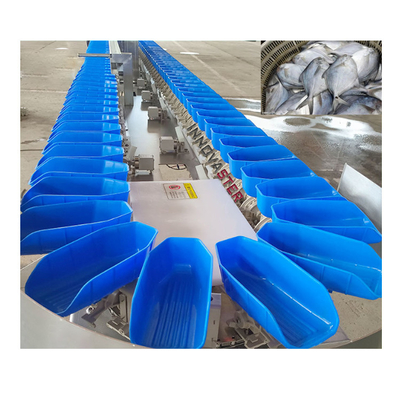 6000x1250x1750mm 304 de acero inoxidable Equipo de clasificación inteligente de filetes de pescado de zanahoria