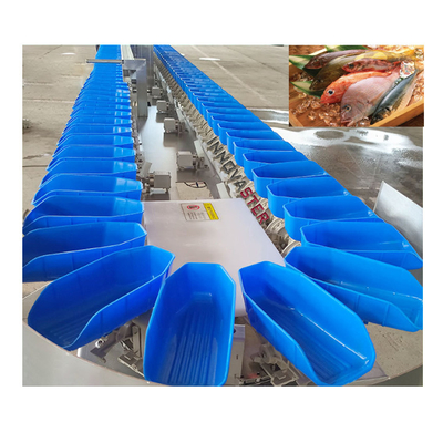 Equipo de procesamiento de pescado fácil de operar clasificador rotativo máquina de clasificación de peso de ostras 220V/380V