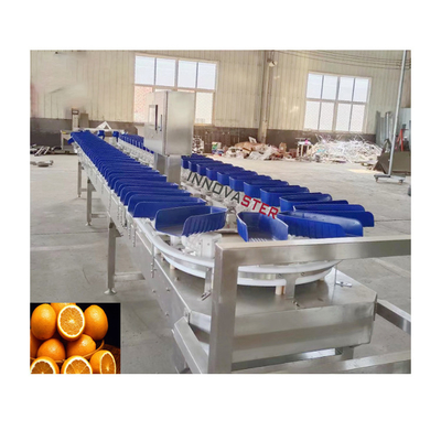 Plantas de procesamiento de carne Máquina de clasificación de camarones tipo cinturón con interfaz fácil de usar