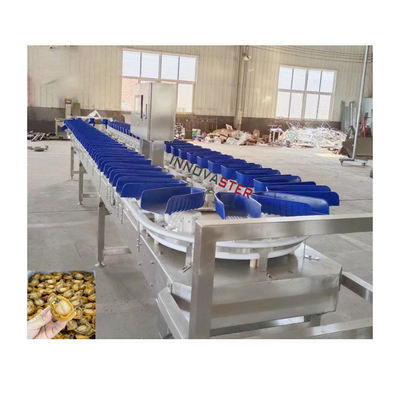 Comedor de alimentos comprobar pesador máquina de clasificación de peso de ostras para frutas y verduras 6000x1250x1750mm