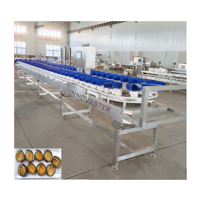 Máquina de clasificación de peces clasificadores de tilapia clasificadores de peso de anchoas Voltado 220V/380V