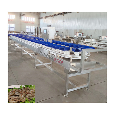 Máquina de clasificación de peso de 500 kg para clasificar el mango en la cinta transportadora de alimentos congelados incluida