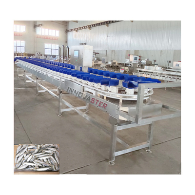 6000x1250x1750mm Pierna de pollo congelada/ala/Abalone máquina de pesaje y clasificación 500 KG
