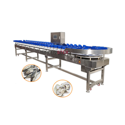 304 Equipo de la industria alimentaria de acero inoxidable clasificador de peso de ostras para la clasificación de camarones