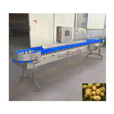 Máquina de clasificación automática de peso para equipos de la industria alimentaria 500 kg