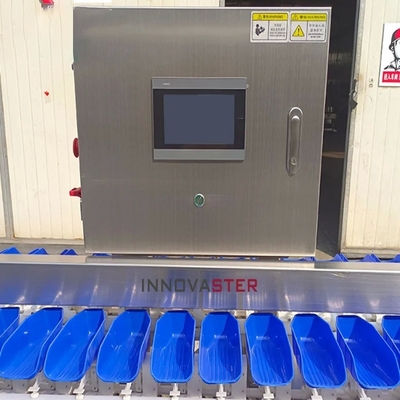 Máquina de clasificación automática de peso para equipos de la industria alimentaria 500 kg
