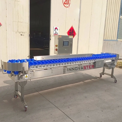 Máquina de clasificación automática de peso para equipos de la industria alimentaria 500 kg