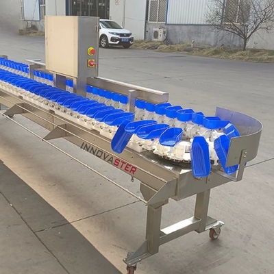 Máquina de clasificación automática de peso para equipos de la industria alimentaria 500 kg