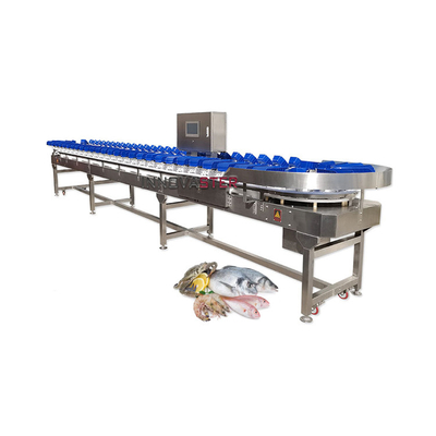 Máquina de clasificación por peso de tipo cinta transportadora de tienda de alimentos para frutas y verduras/pescado/mariscos