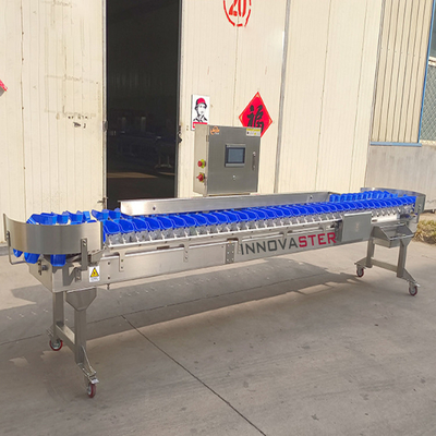 Máquina de clasificación por peso de tipo cinta transportadora de tienda de alimentos para frutas y verduras/pescado/mariscos