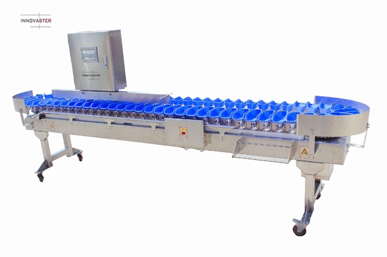 Simplifique su proceso de clasificación de pescado de ostras con la máquina de clasificación de peso de múltiples bandejas