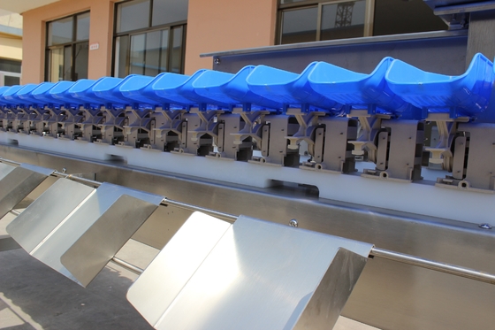 Simplifique su proceso de clasificación de pescado de ostras con la máquina de clasificación de peso de múltiples bandejas