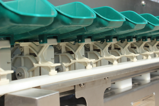 Simplifique su proceso de clasificación de pescado de ostras con la máquina de clasificación de peso de múltiples bandejas