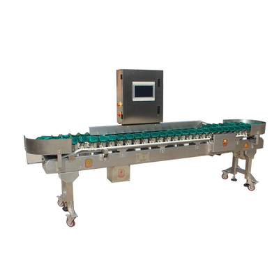 Grado de tamaño de acero inoxidable Máquina automática de clasificación de peso de pollo para la clasificación