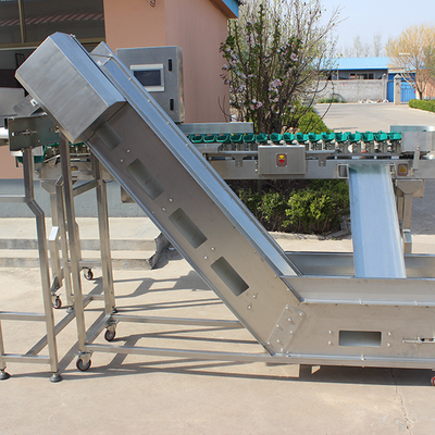 Grado de tamaño de acero inoxidable Máquina automática de clasificación de peso de pollo para la clasificación