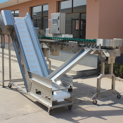 Grado de tamaño de acero inoxidable Máquina automática de clasificación de peso de pollo para la clasificación